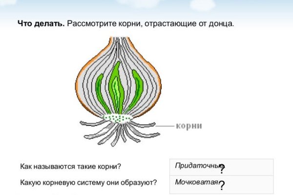 Вывести деньги с кракена